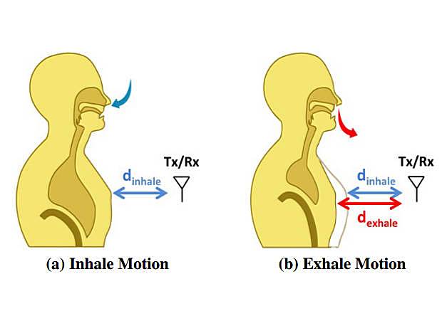 Принцип действия Vital Radio: при вдохе-выдохе изменяется расстояние от антенны до грудной клетки